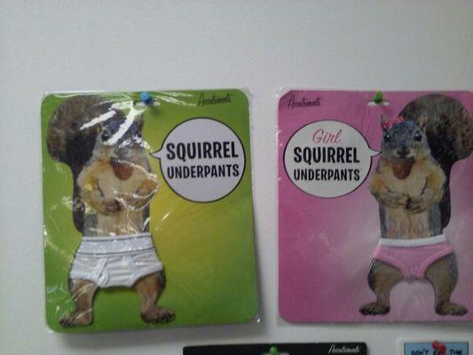 Squirrel underwear, underpants for boy and girl