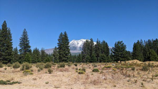 view from the food truck