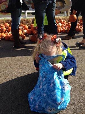 Safest, largest, reusable Halloween bag