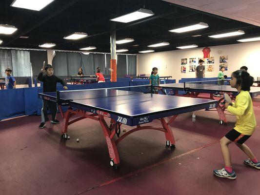 Super Spin Table Tennis Club