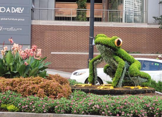 Mid town frog by Marta station