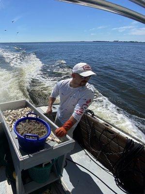 A full basket of shrimp at the sorting table