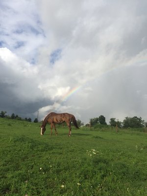 Cedar Grove Farm