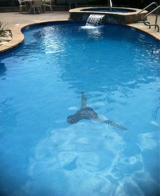 The adult pool with hot tub