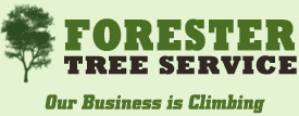 Forester Tree Service Inc logo