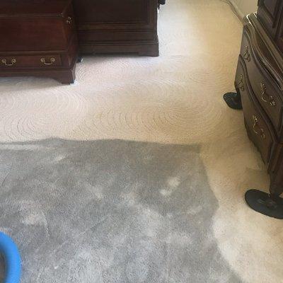 Heavily soiled carpet is made new again!