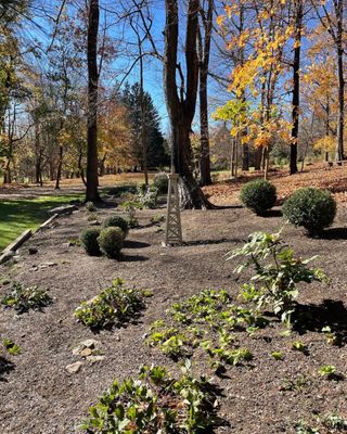 Annual cleanup on property we've designed.