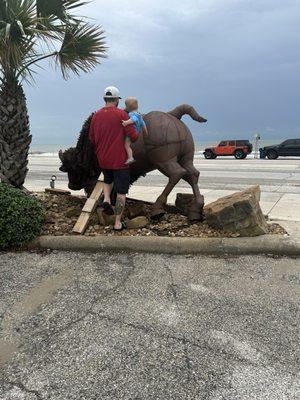 got to spend some place next to the buffalo while we figured out what do do