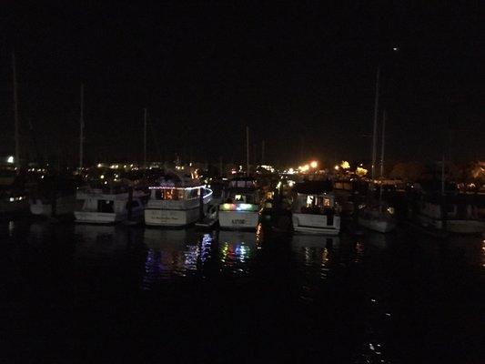 Gah, hard to take pics in the dark! But this is some of the festive docked boats we passed by.