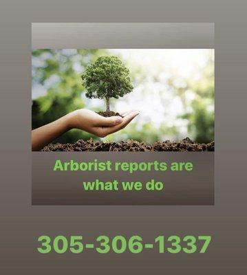 Arborist reports are what we do