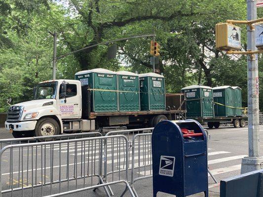 Potty's Getting ready for the parade. 06/04/23