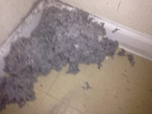 This is a build up of lint from a dryer vent duct work that ran to the roof..