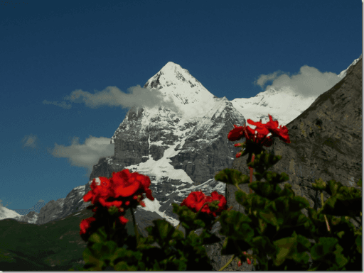 THE GREAT SWISS TRAIN TOUR