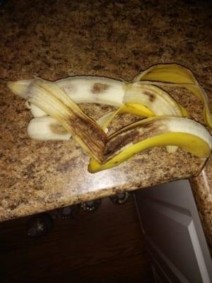 Really? It's only been 2 days & bananas are rotten already