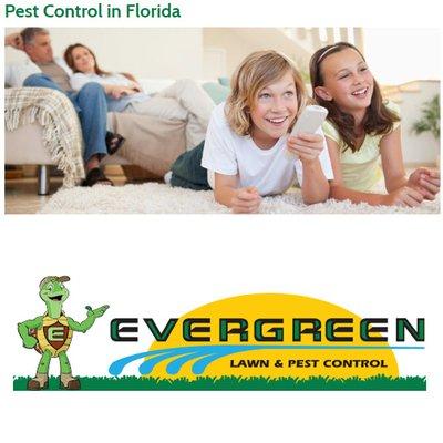 Evergreen Lawn & Pest Control