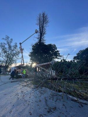 Dry Pine Tree Done With Boom Truck And A Crew Of 5.