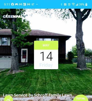 Hi my name is Tailor Schroff owner of schroff's lawn service i cut this lawn on may 14th the customer was very pleased