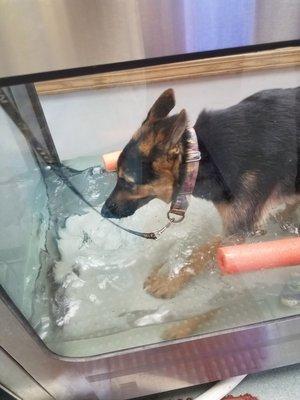 Hydrotherapy utilizing an underwater treadmill available