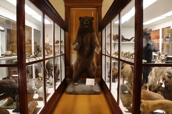 Pember Museum of Natural History