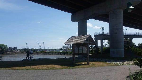 A painter under the bridge at Thomas Knight Park.