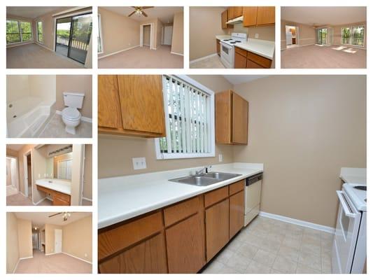 Two bedroom two bath with walk in closets in both bedrooms and huge living room space!