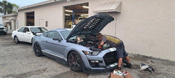 Zack, the head mechanic working on a 2022 gt500