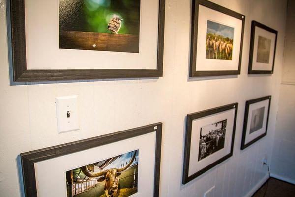 Promoting the artwork of local photographers, painters and artists.