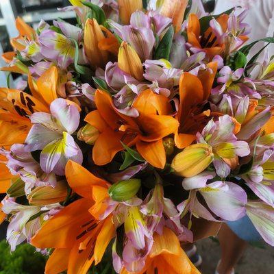 Beautiful orange lilies