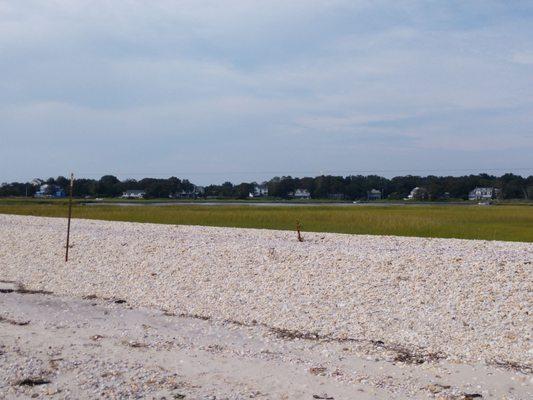 Fencing for tern nests