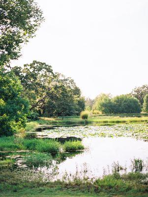 Pond