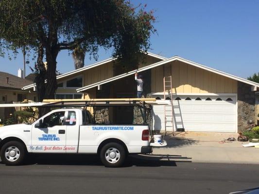 Gable facia being replaced by one of our amazing carpenters!