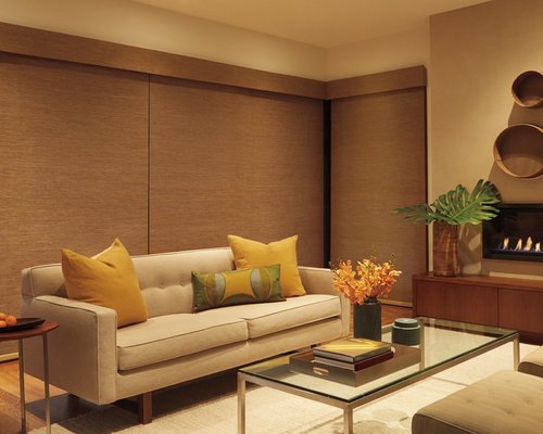 Hunter Douglas Designer Roller Shades