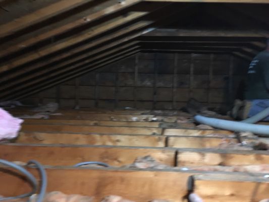 Attic before insulation was blown in