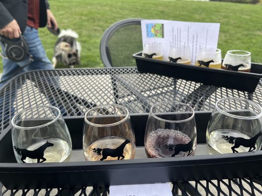 Wine and Cider tasting!