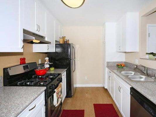 Plenty of Cabinet space, wood floors, stainless steel appliances.