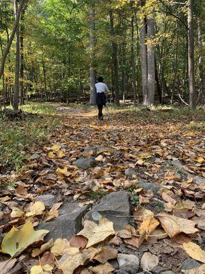 Meade's Mountain Loop -  hilly and loose rocks