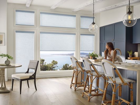 Hunter Douglas Sonnette roller shades diffuse light beautifully and offer privacy and insulation.