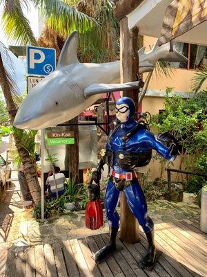 Phantom Divers Playa del Carmen, Mexico - bull shark dive