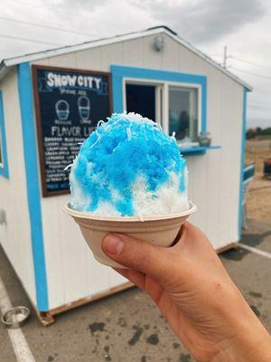 The Snowpocalypse: Blue raspberry and creamy coconut with sweet cream and snowy coconut flakes.