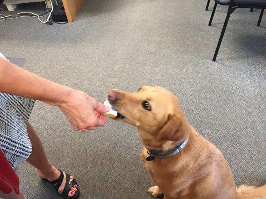 Livengood in LaVale! Maggie enjoying her treat!