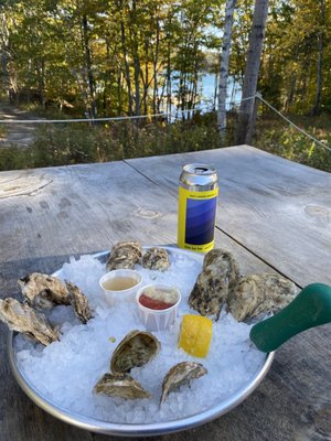 Shuck with a view