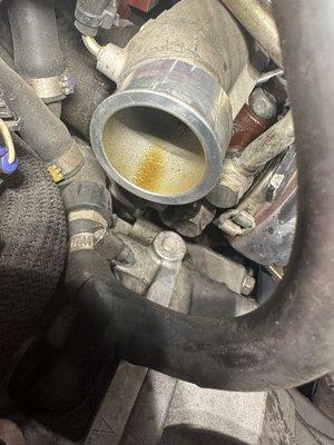 Turbo blowing oil, not good and not supposed to do that