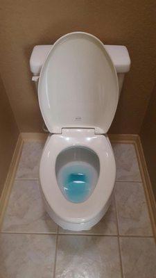 Toilet from a 2 bed/2 bath apartment in Sugarland brought back to very "clean" state.