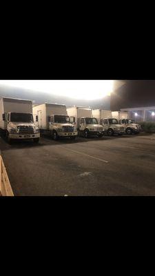 Fleet of 6 box trucks to serve