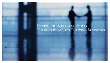 Entrepreneurial Firm