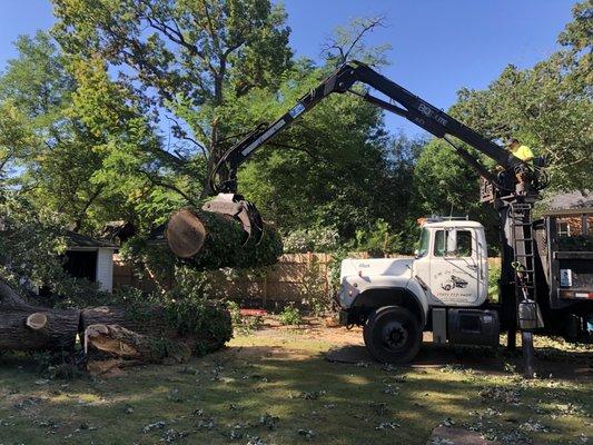 F&M Montoya Tree Service