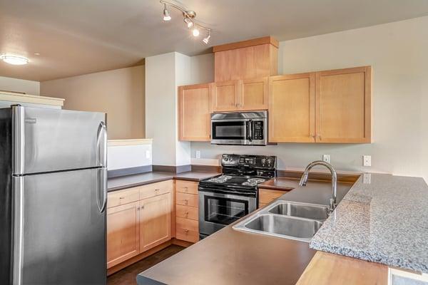 Modern 1 Bedroom Kitchen