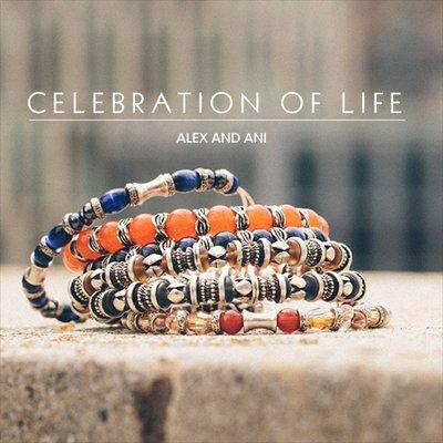 Introducing the new fall 2016 beaded collection, Celebration of Life