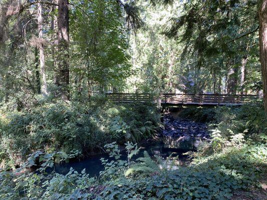 Creek running through the campground