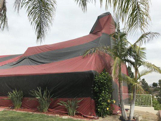 Termite Fumigation in Anaheim Hills. Property has two high chimneys.